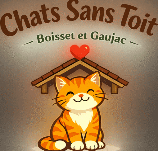 Chats sans toit, adoption, chat à adopter, Boisset et Gaujac, famille d'accueil