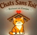 Chats sans toit, adoption, chat à adopter, Boisset et Gaujac, famille d'accueil